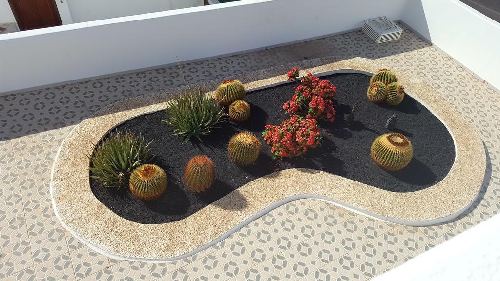 Panelo Cactus Apartment Puerto del Carmen  Esterno foto